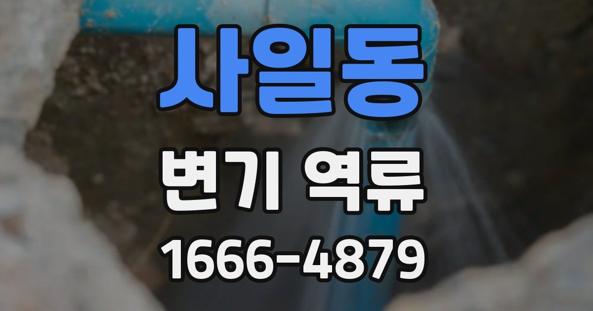사일동 변기 역류