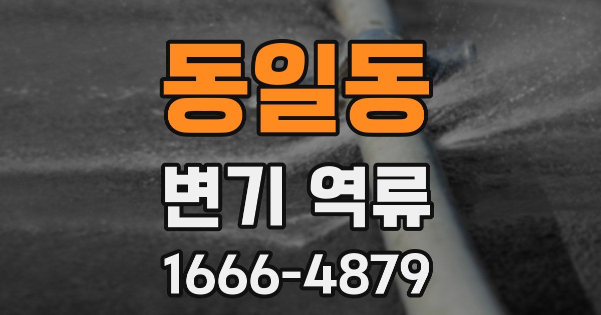 동일동 변기 역류
