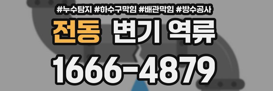 전동 변기 역류