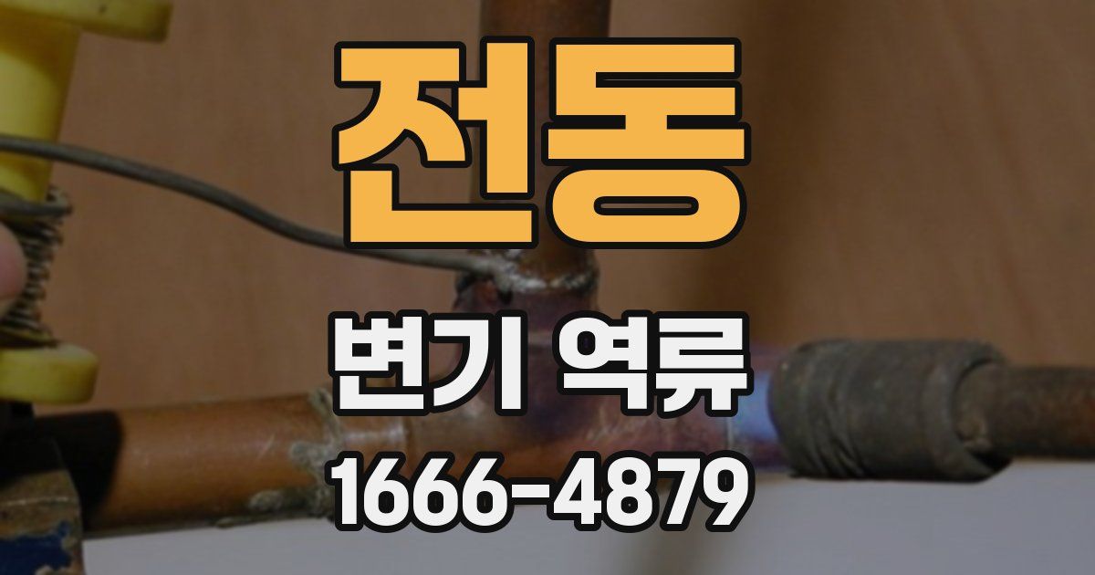 전동 변기 역류