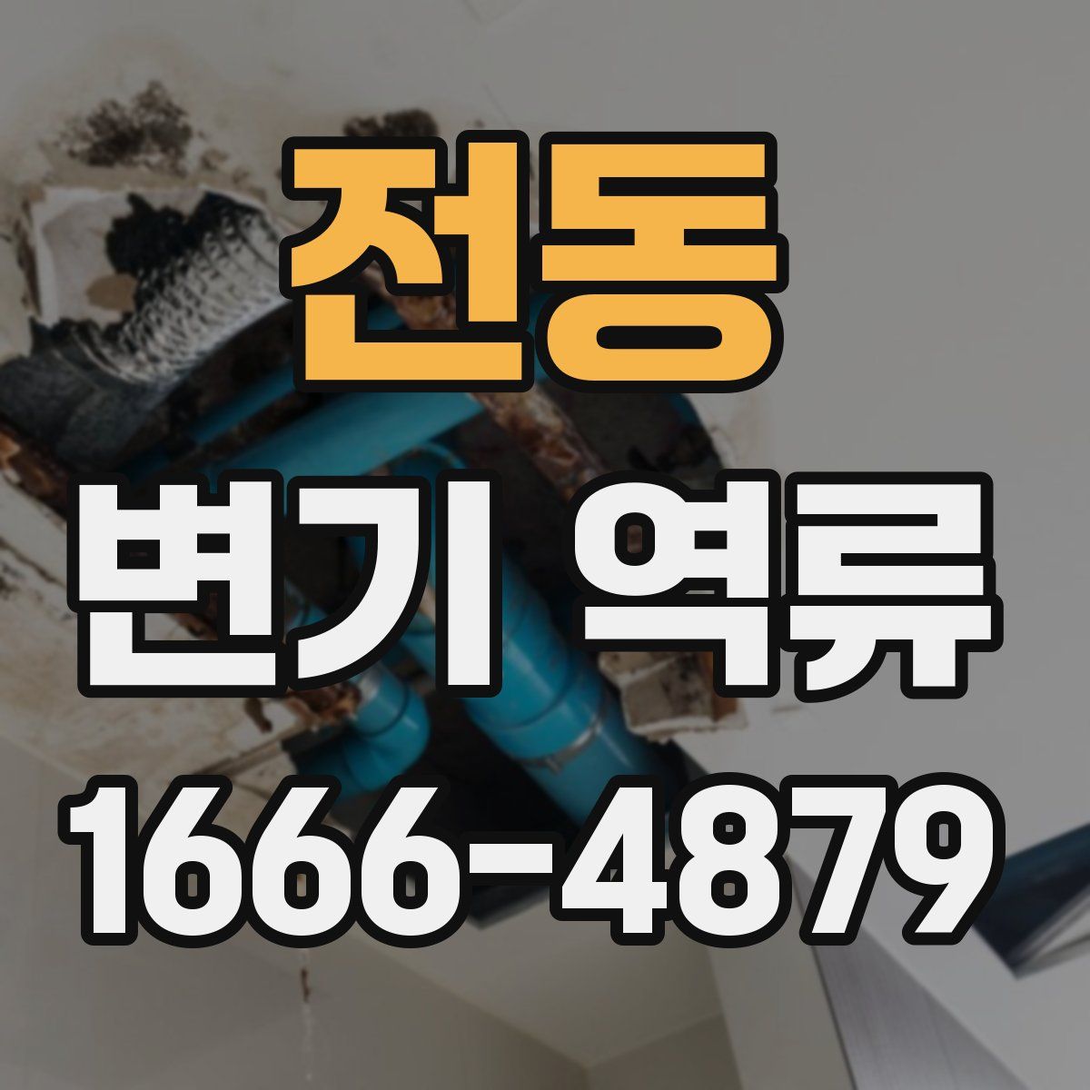 전동 변기 역류