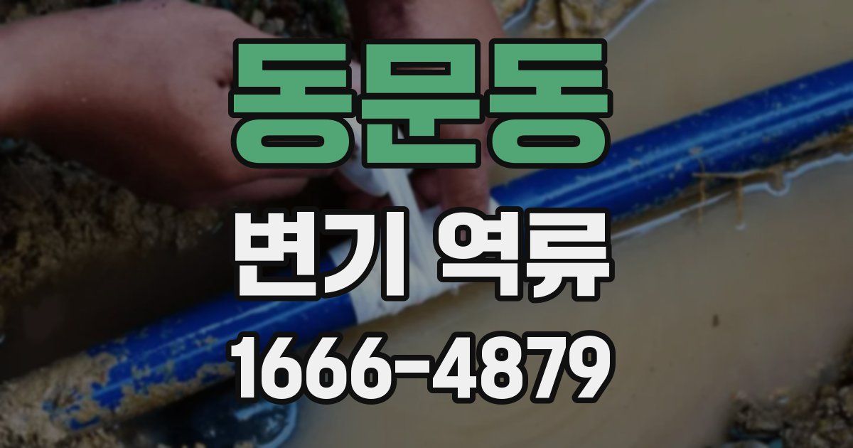 동문동 변기 역류