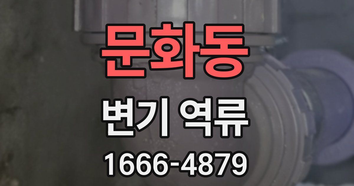 문화동 변기 역류