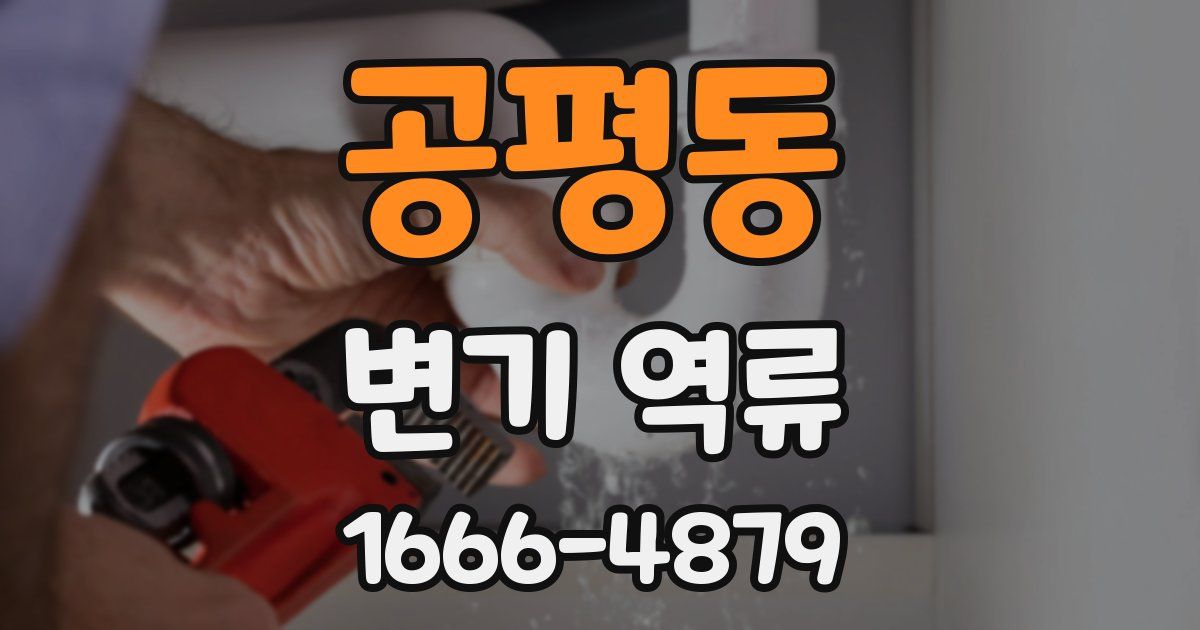공평동 변기 역류