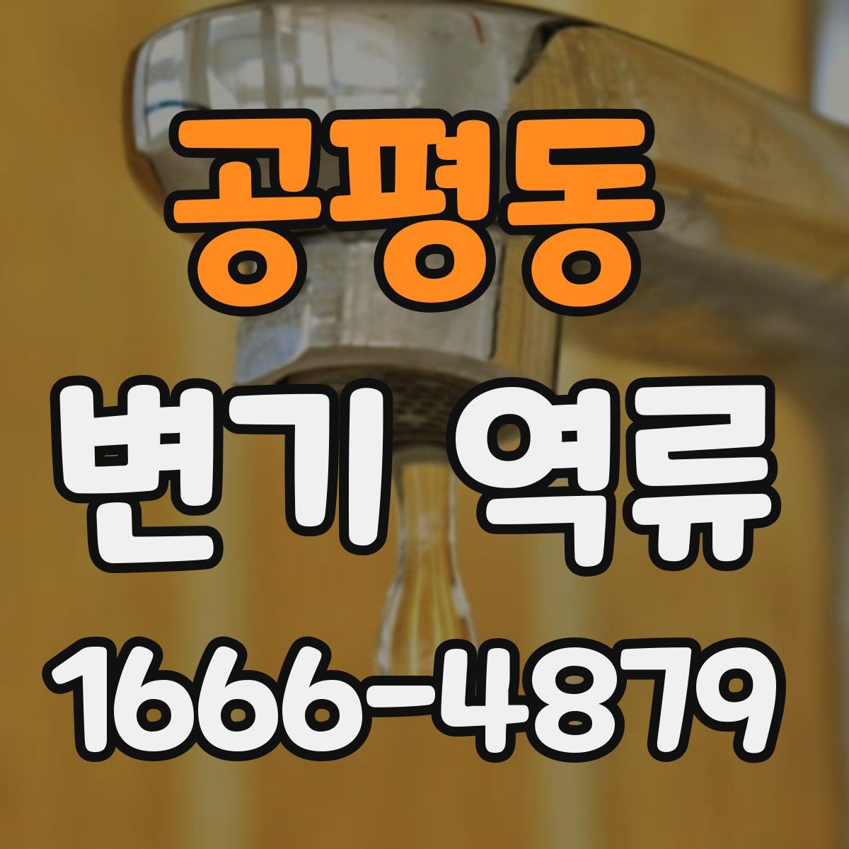 공평동 변기 역류