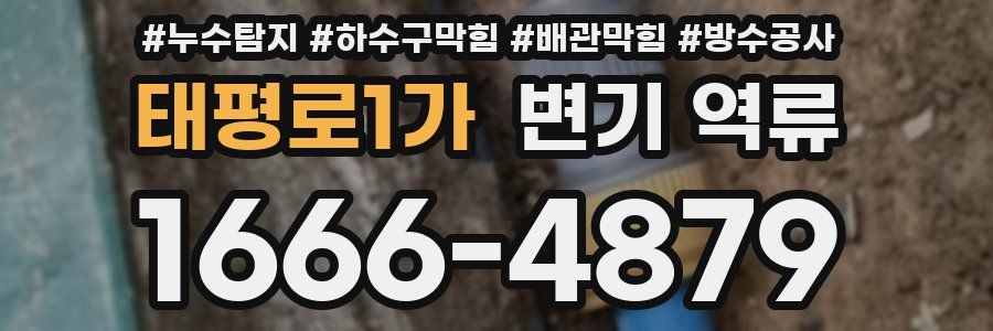 태평로1가 변기 역류