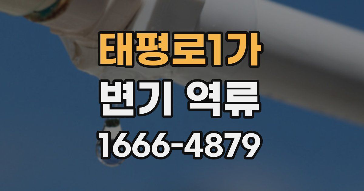 태평로1가 변기 역류