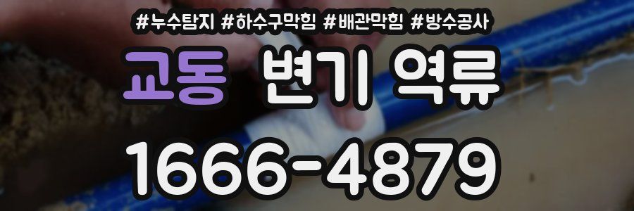 교동 변기 역류