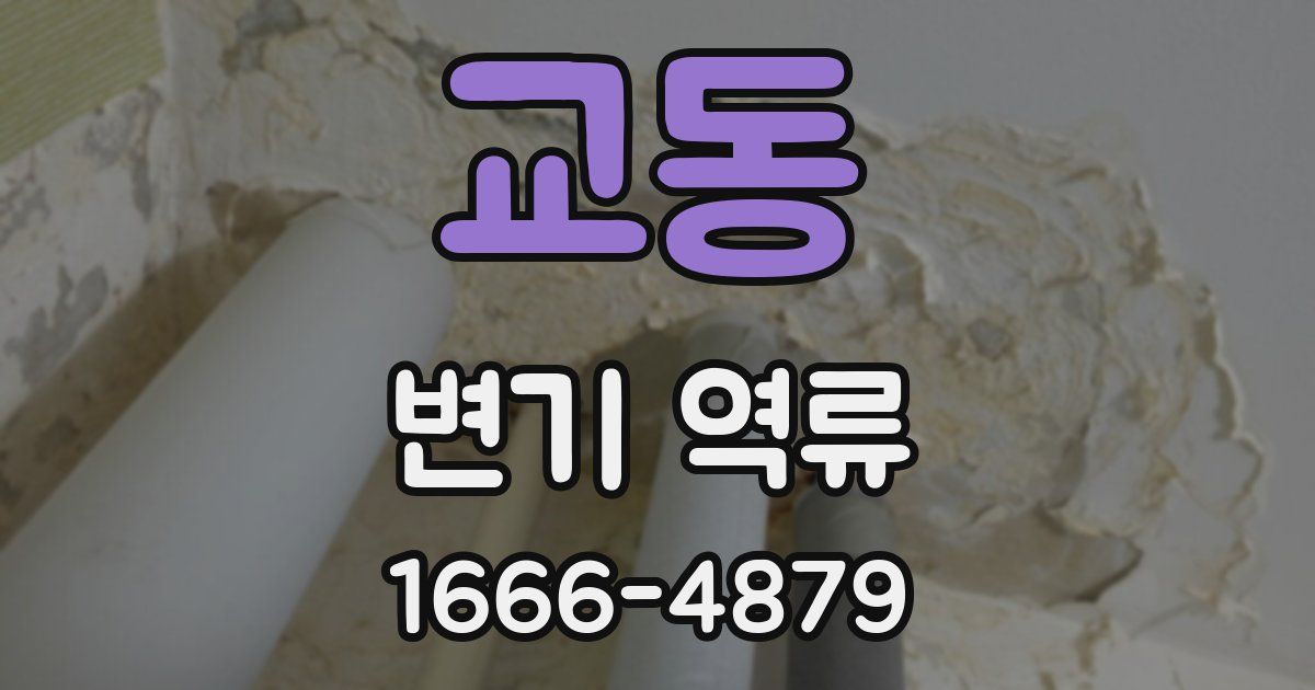 교동 변기 역류