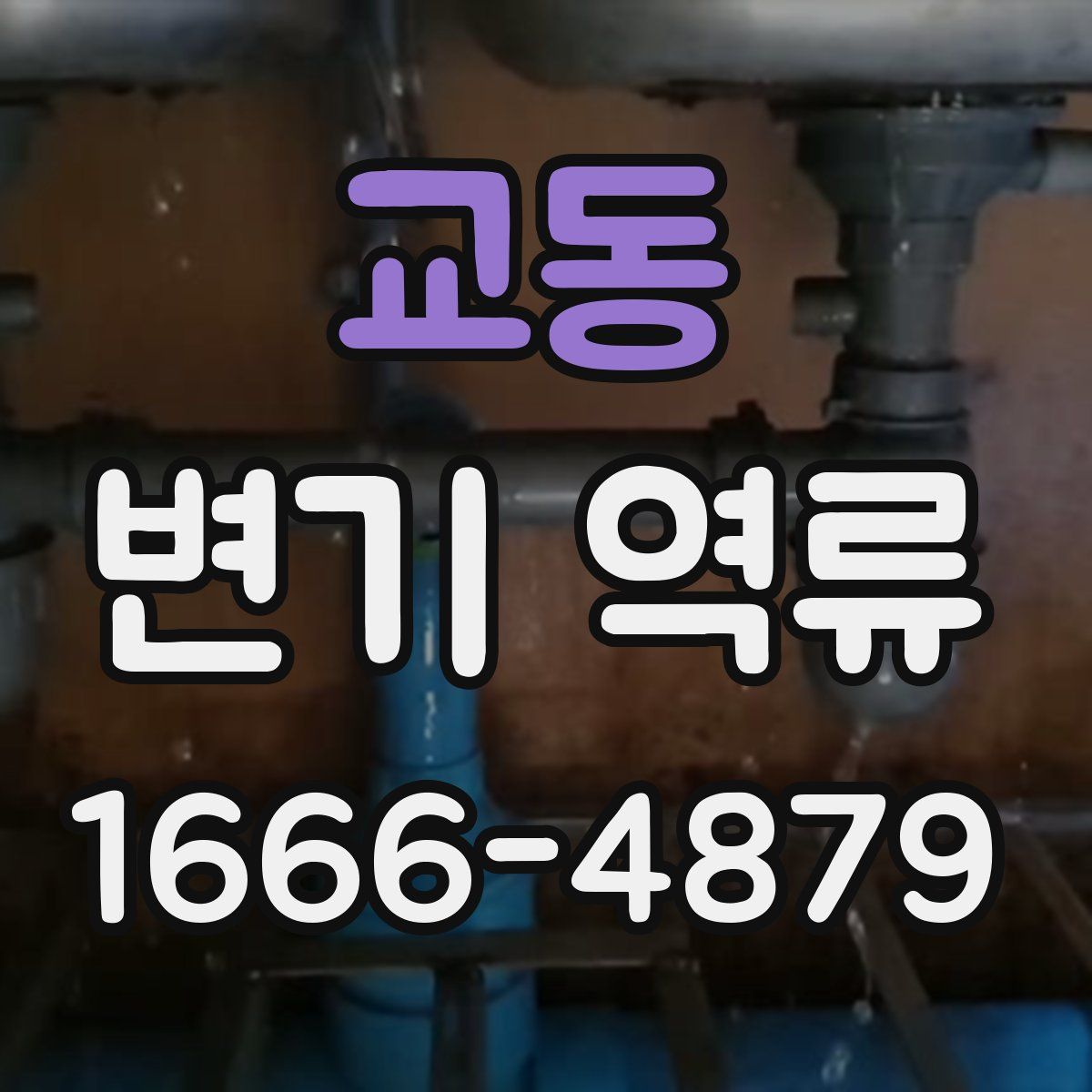 교동 변기 역류