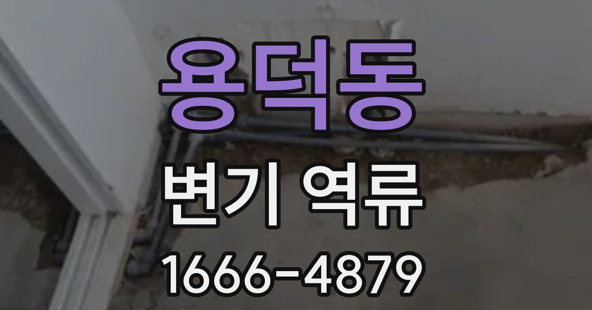 용덕동 변기 역류