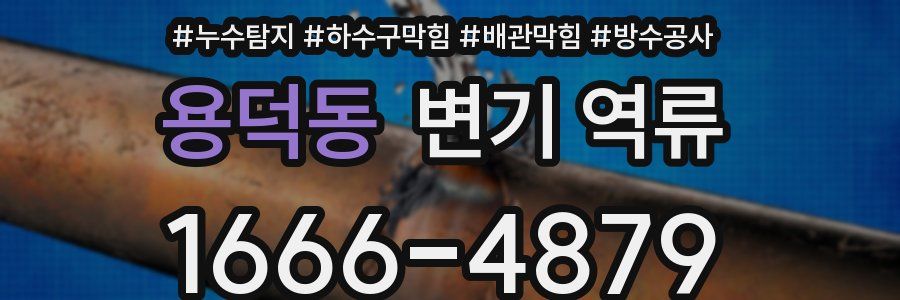 용덕동 변기 역류