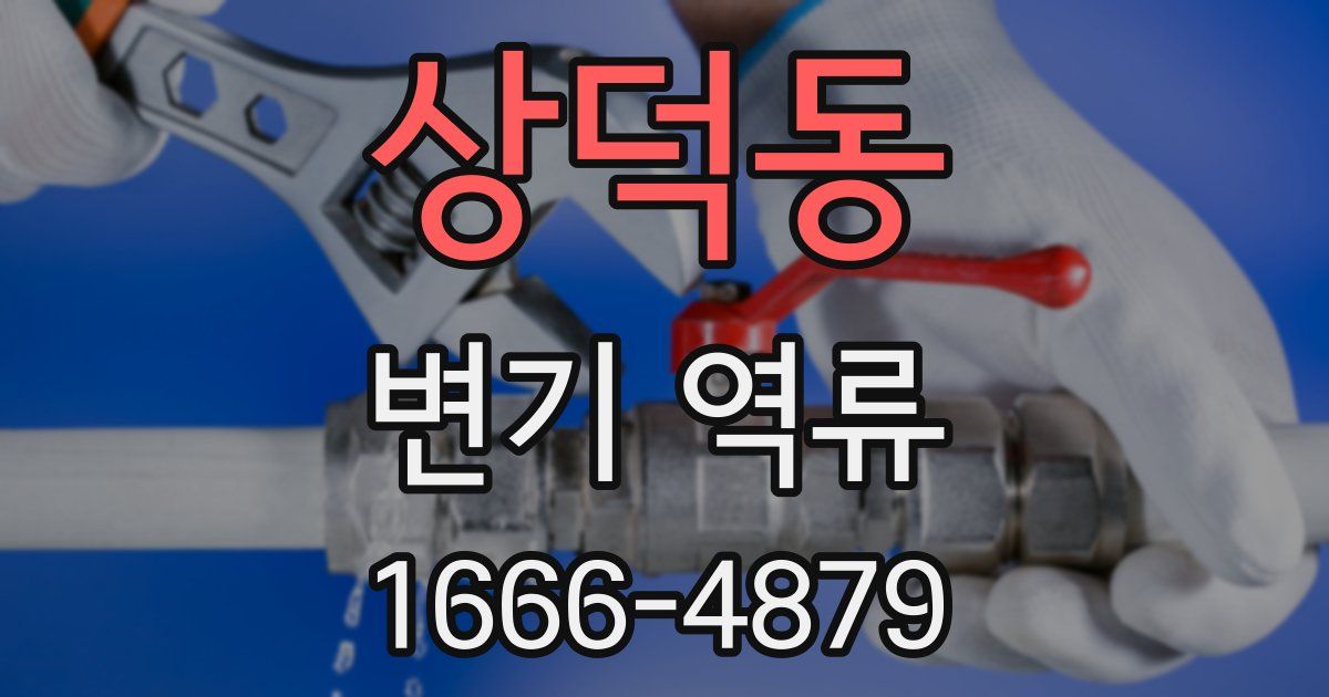 상덕동 변기 역류
