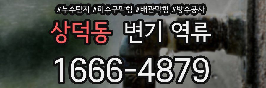 상덕동 변기 역류