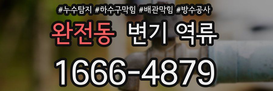 완전동 변기 역류