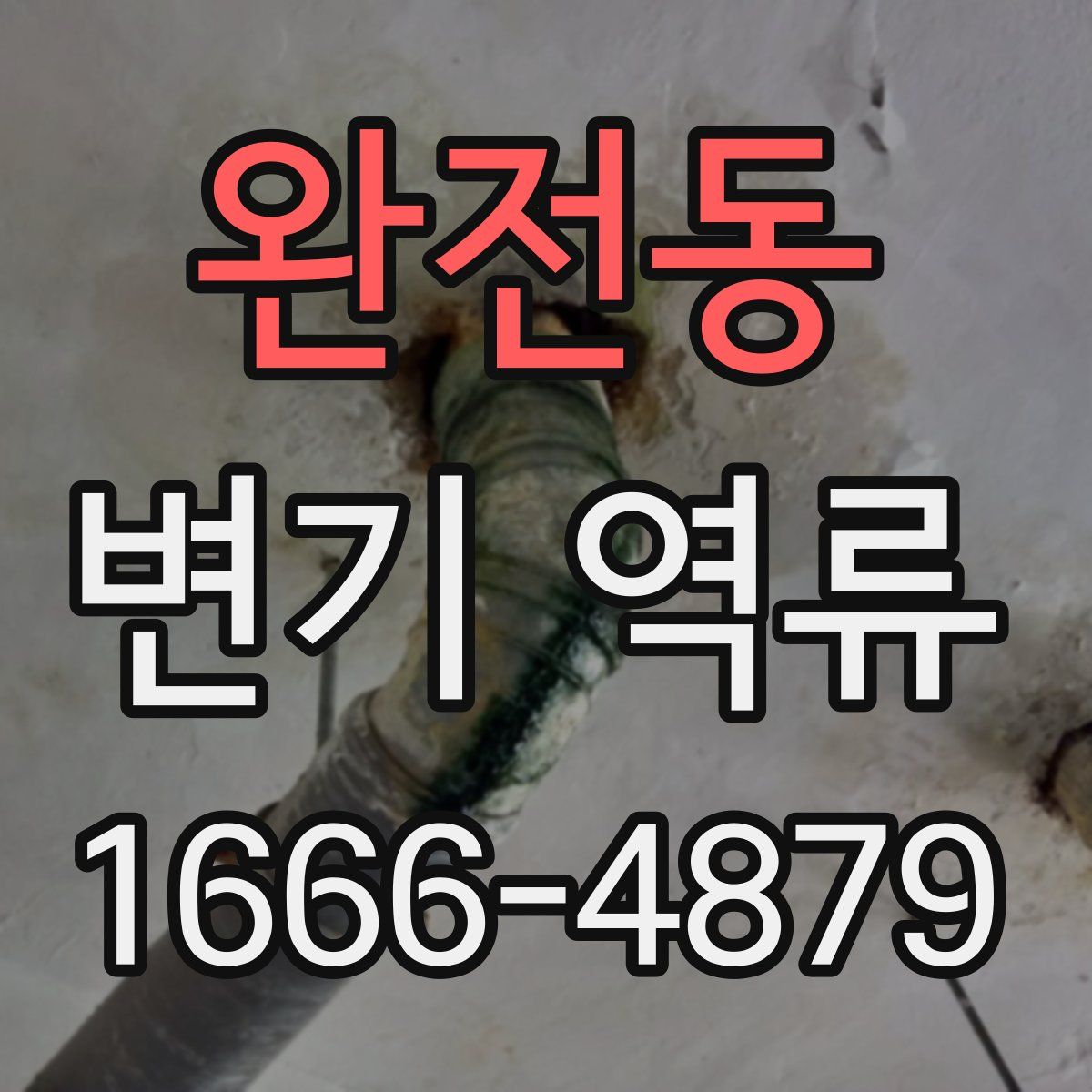 완전동 변기 역류