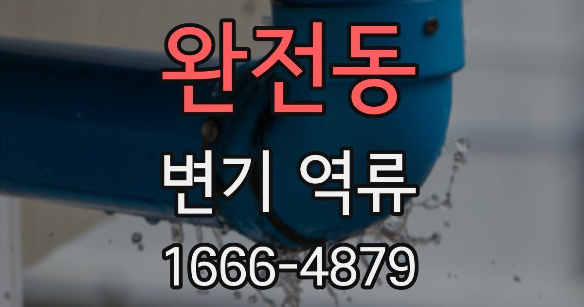 완전동 변기 역류