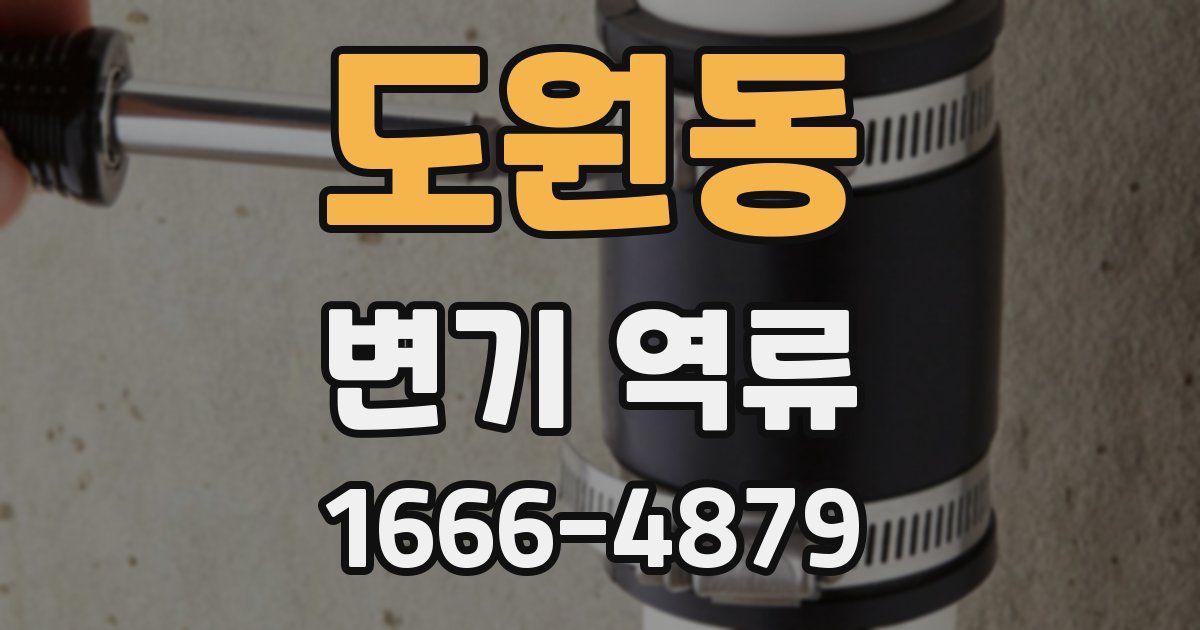 도원동 변기 역류