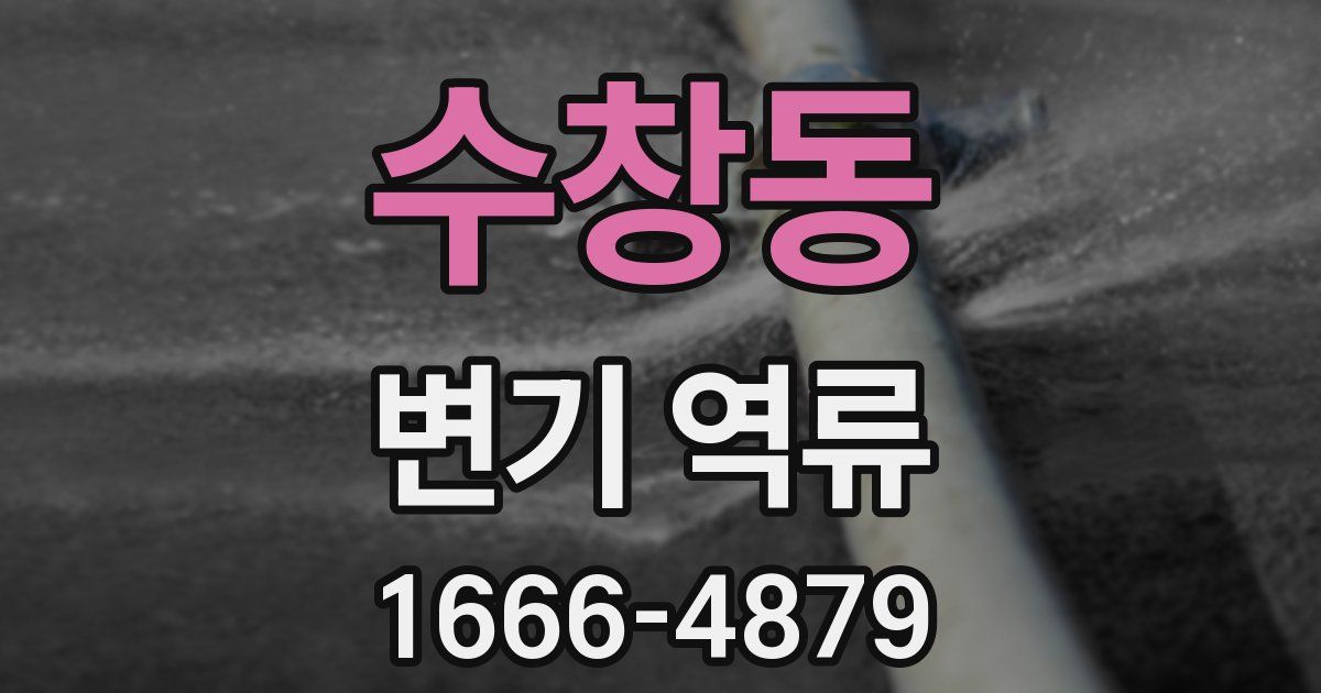 수창동 변기 역류