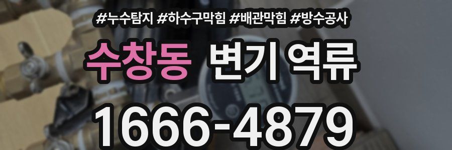 수창동 변기 역류