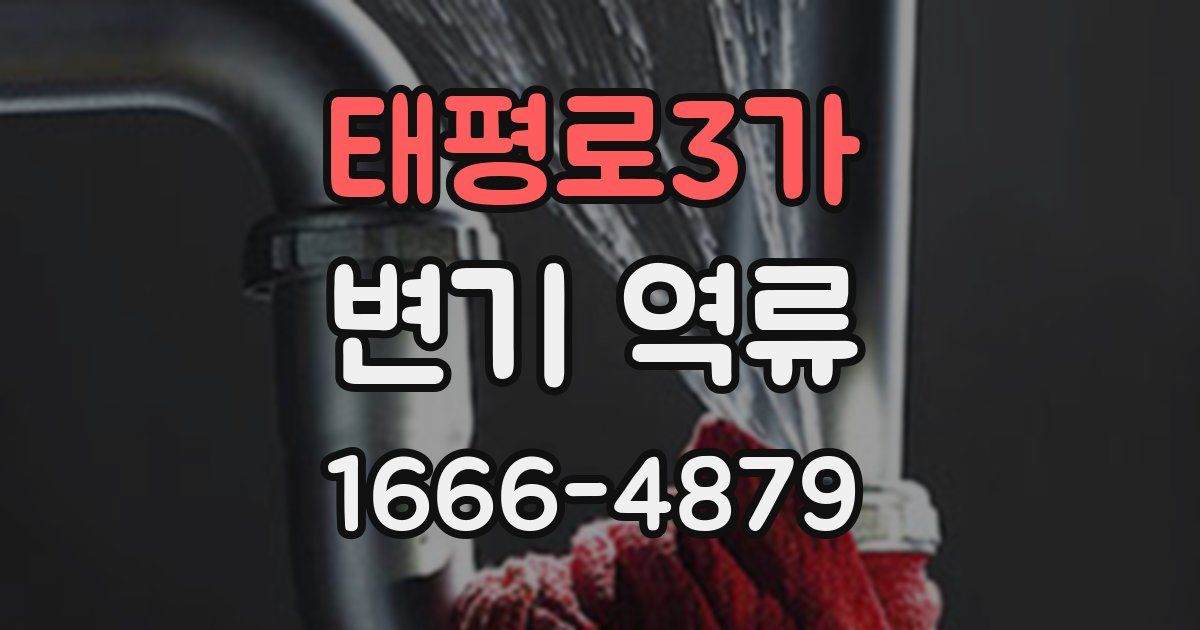 태평로3가 변기 역류