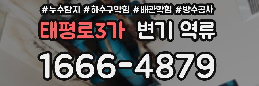 태평로3가 변기 역류