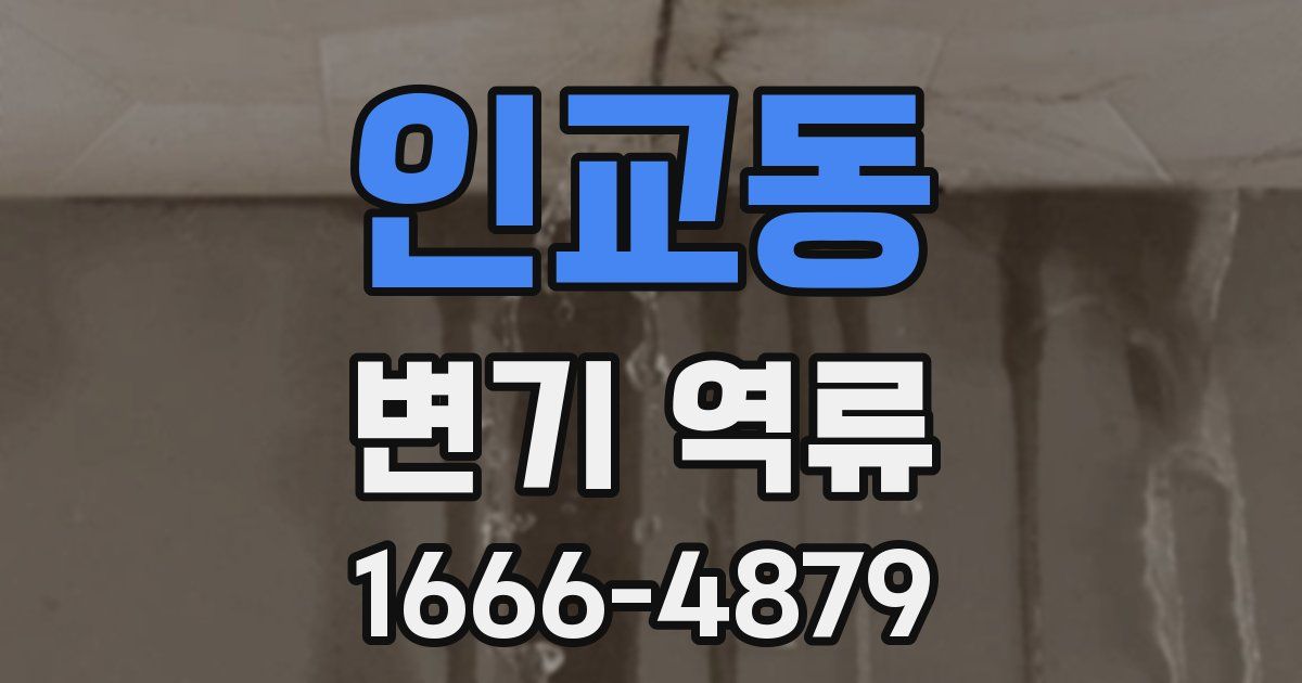 인교동 변기 역류