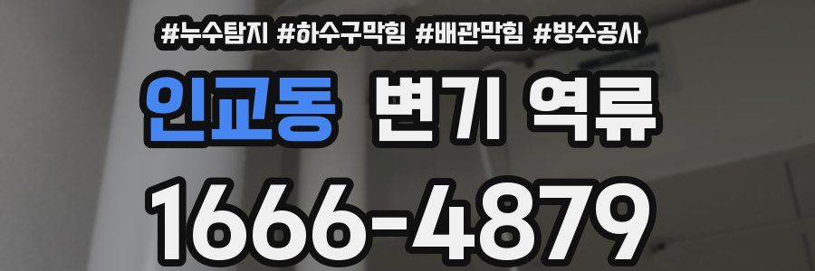 인교동 변기 역류