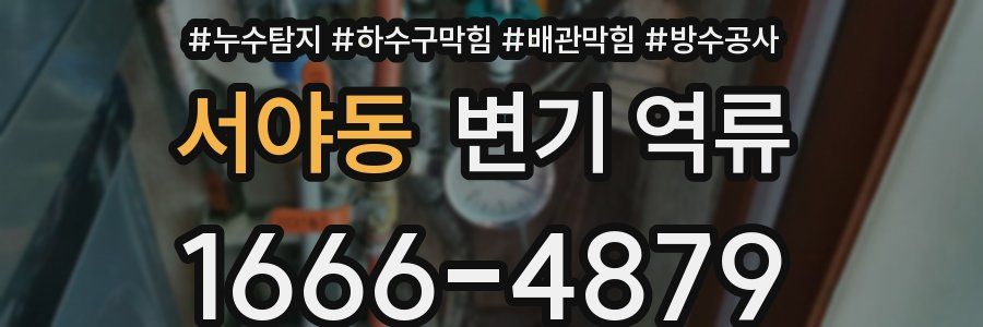 서야동 변기 역류