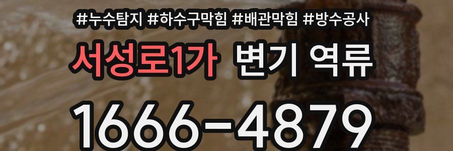 서성로1가 변기 역류