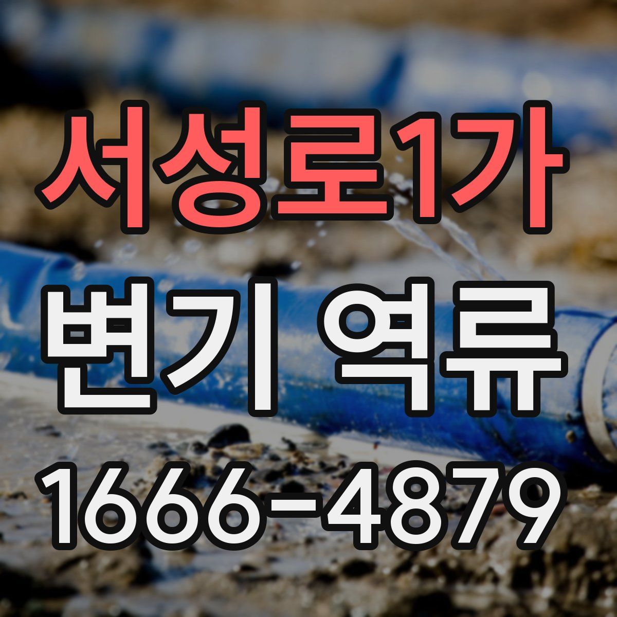 서성로1가 변기 역류