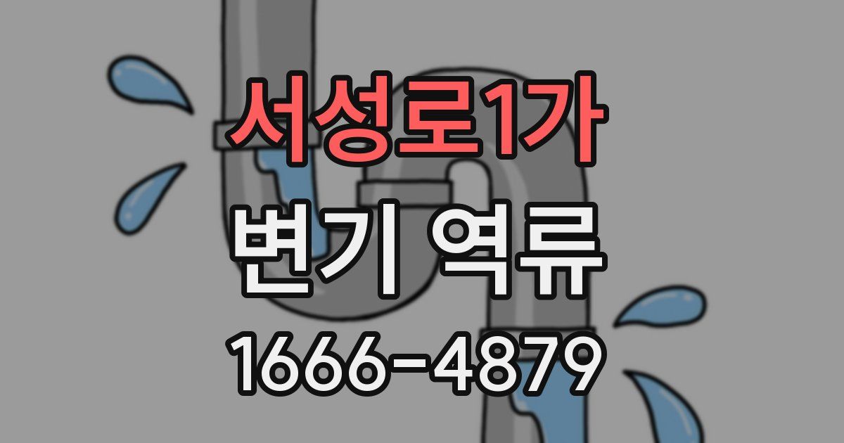 서성로1가 변기 역류