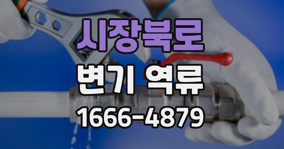 시장북로 변기 역류