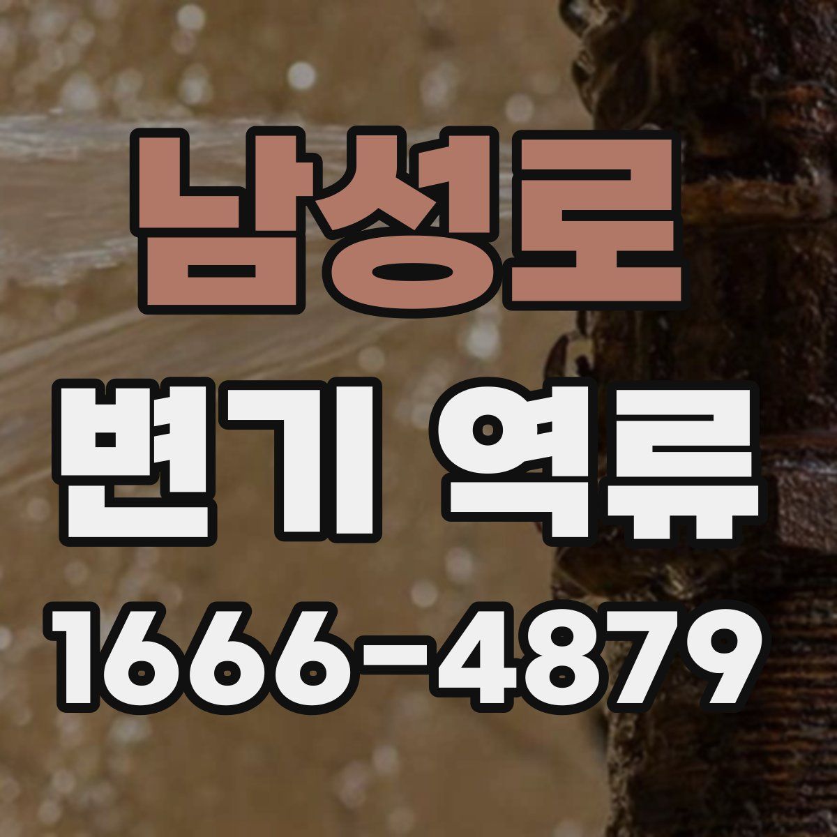 남성로 변기 역류
