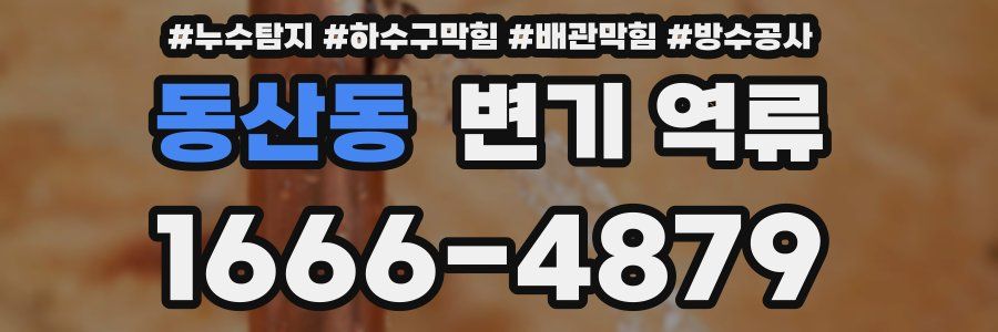 동산동 변기 역류