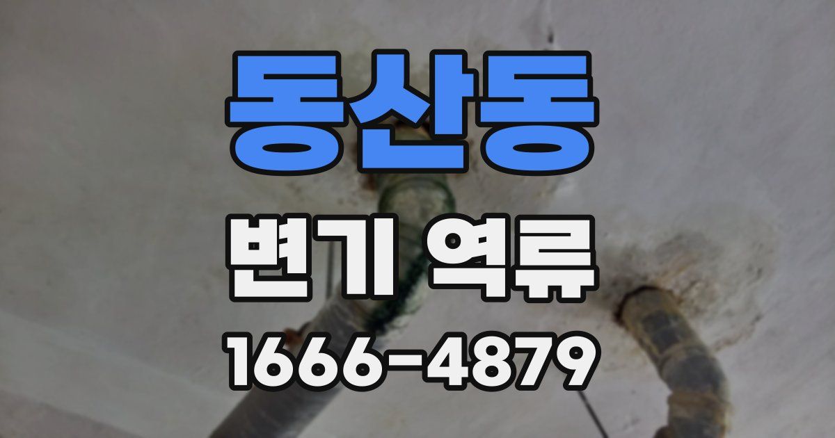 동산동 변기 역류