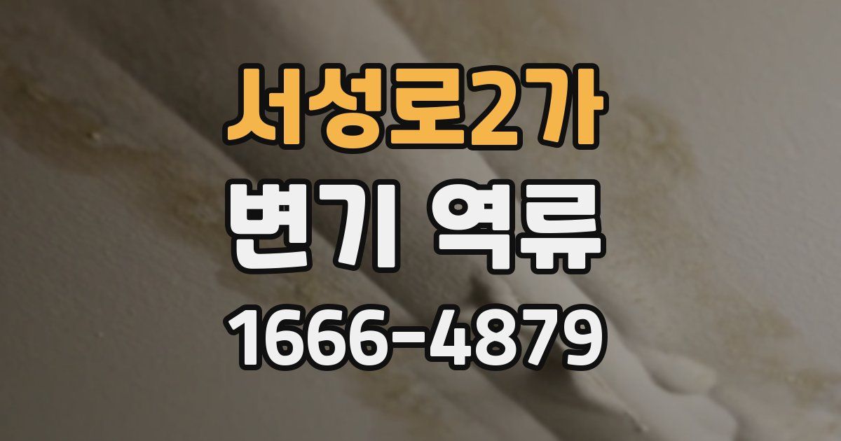 서성로2가 변기 역류