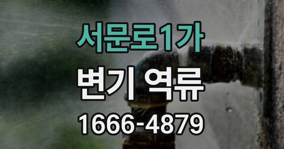 서문로1가 변기 역류
