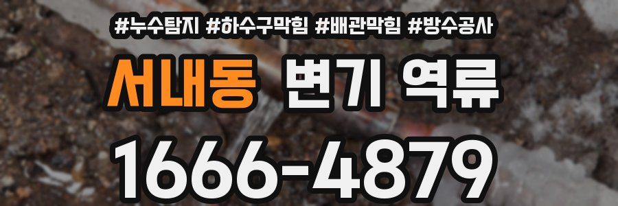 서내동 변기 역류