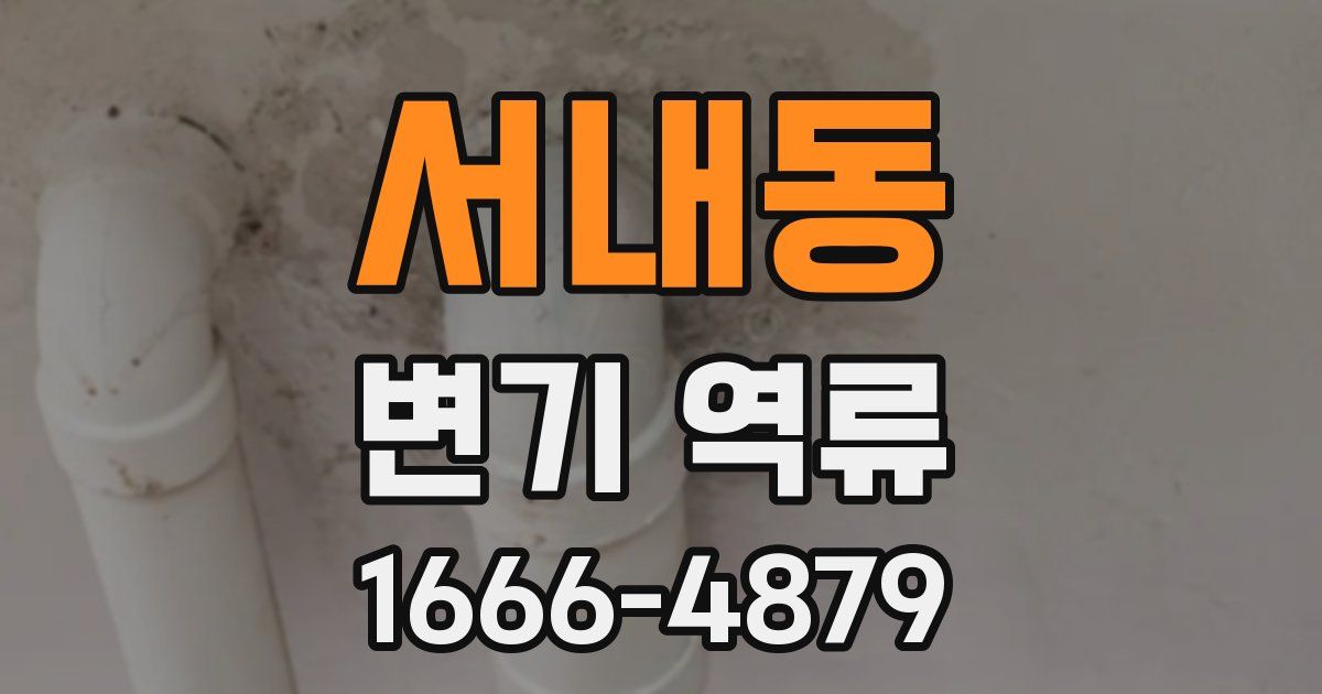 서내동 변기 역류