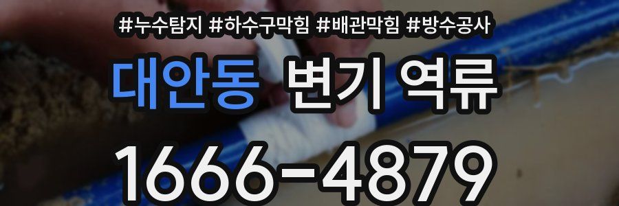 대안동 변기 역류