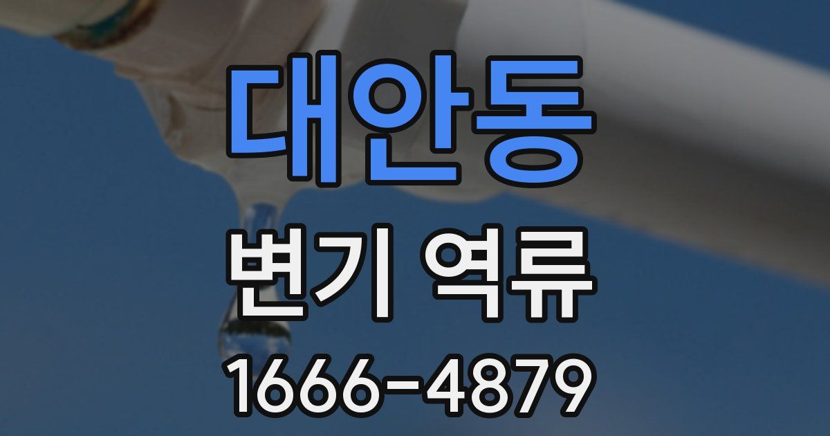 대안동 변기 역류