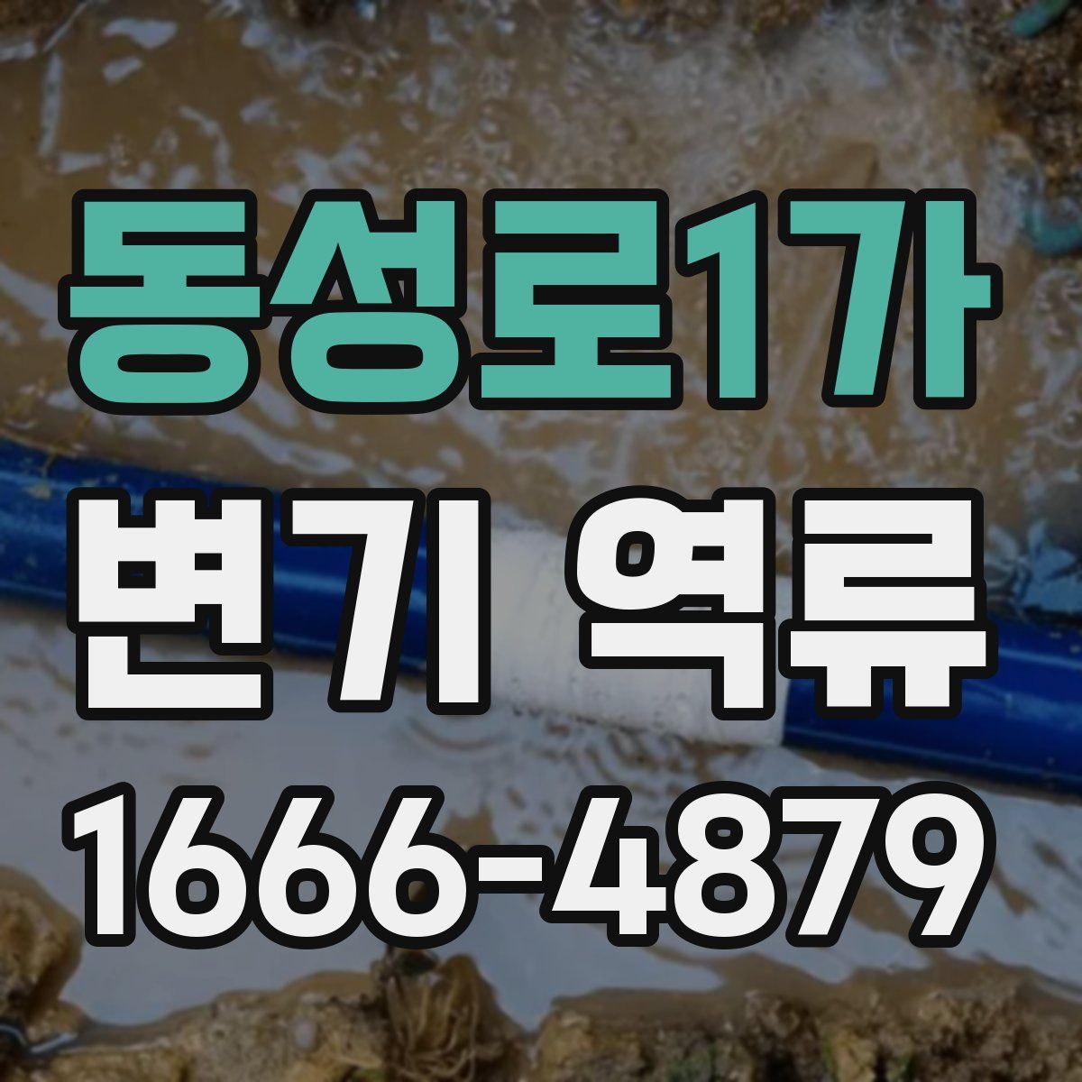 동성로1가 변기 역류