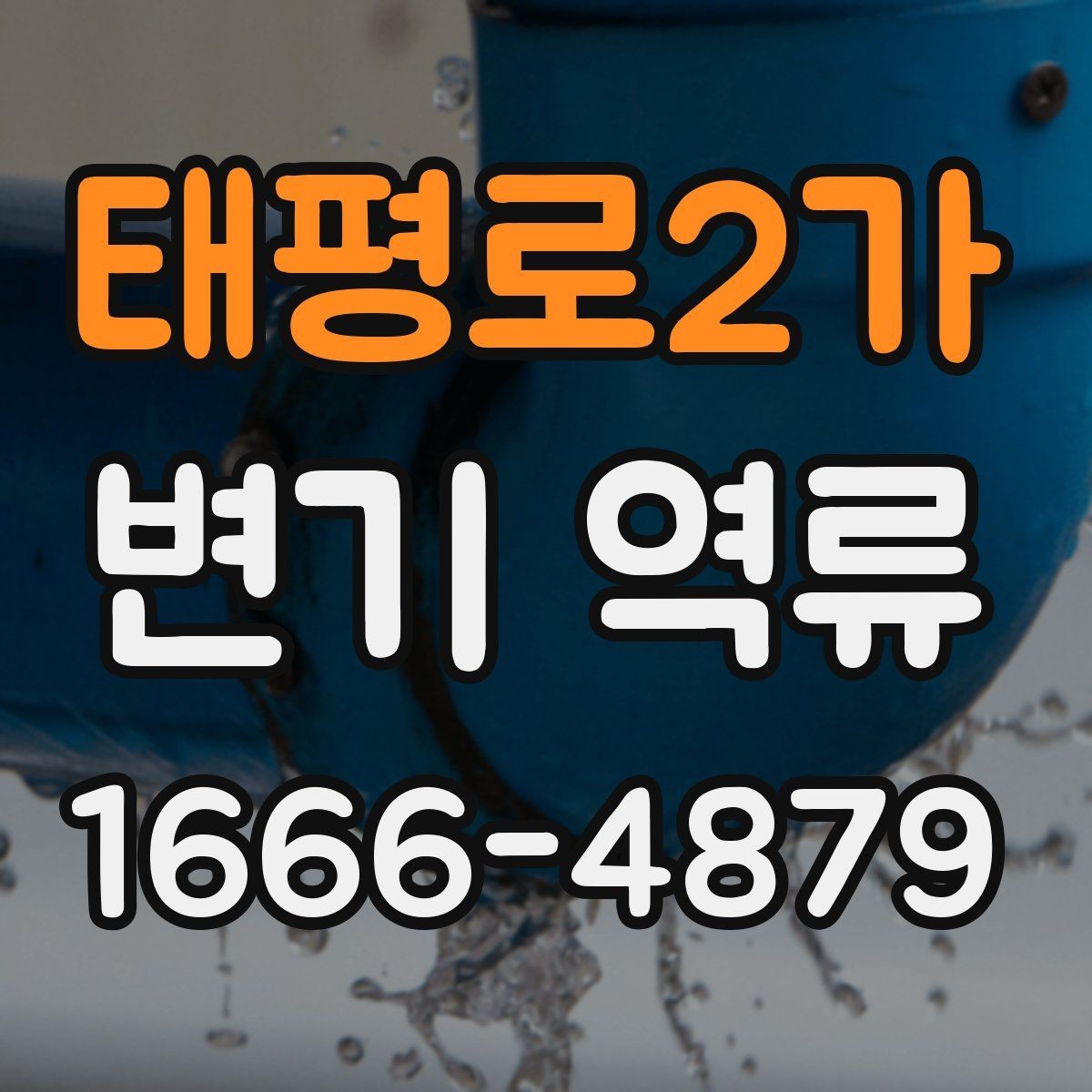 태평로2가 변기 역류 세정제 사용이 오히려 불편할 수 있는 경우