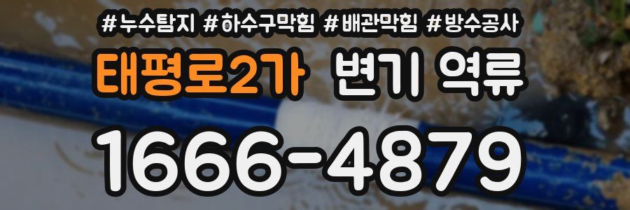태평로2가 변기 역류