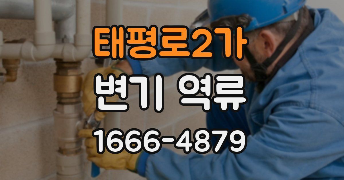 태평로2가 변기 역류