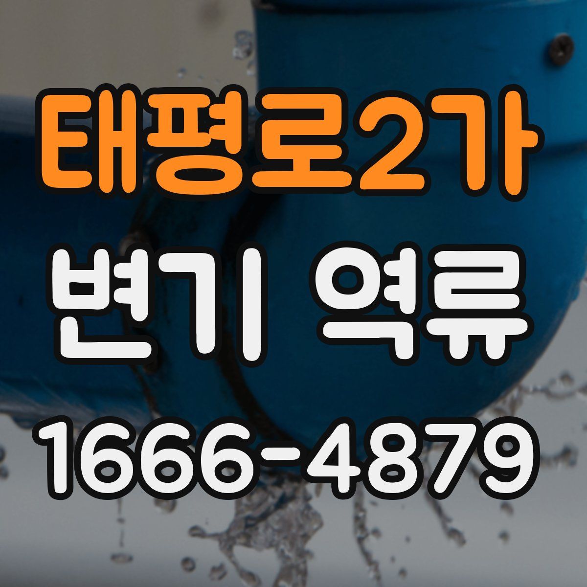 태평로2가 변기 역류