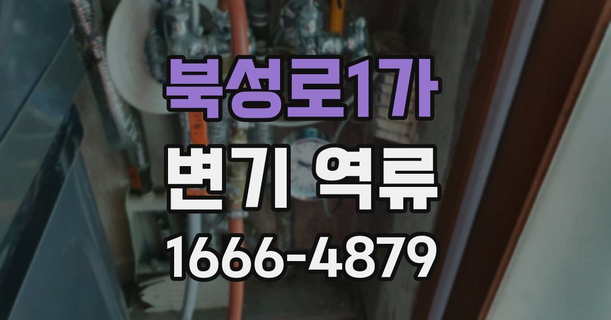 북성로1가 변기 역류