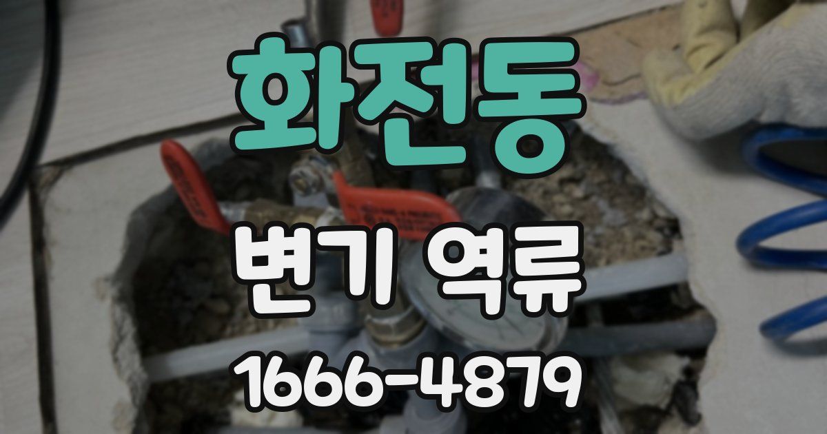화전동 변기 역류