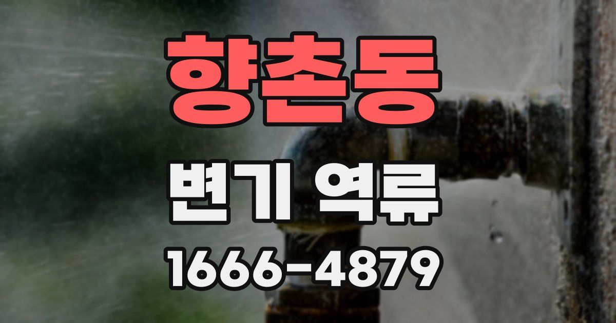 향촌동 변기 역류